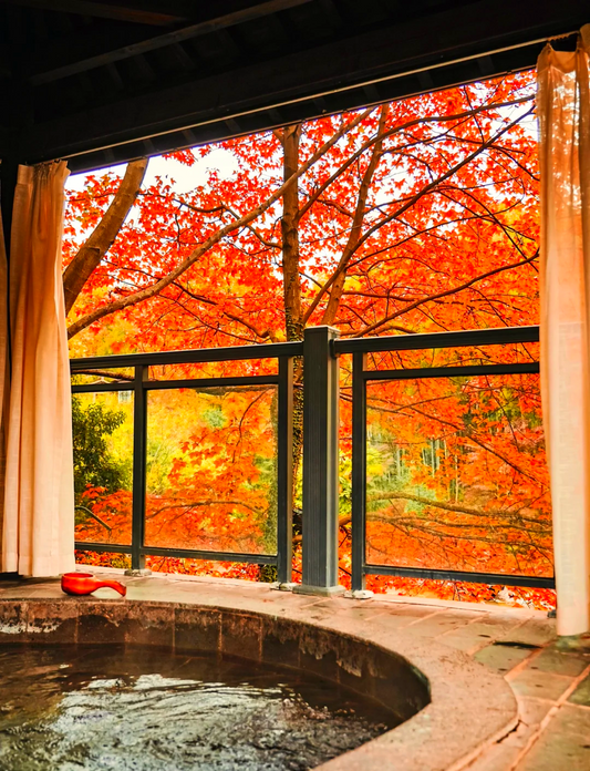 紅葉と温泉の極上楽しみ：日本秋の絶景温泉旅館5選