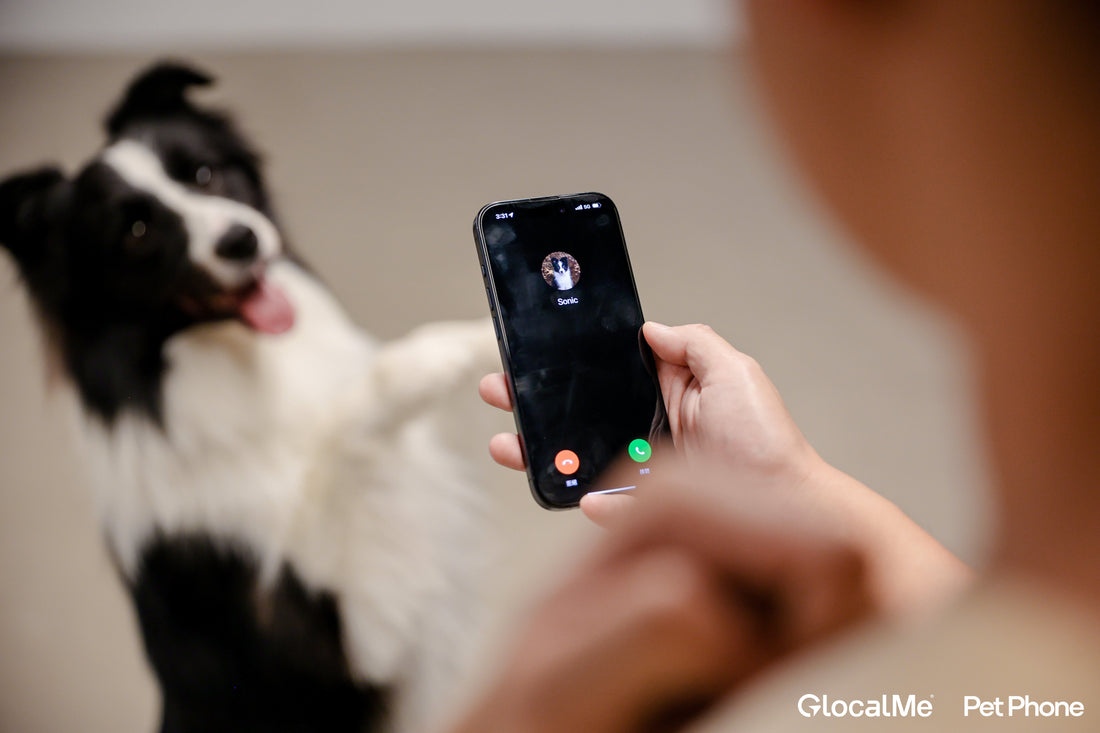 PetPhoneが安全性と感情的なつながりを再定義