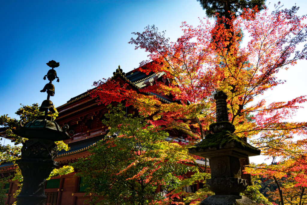 日本の秋を彩る紅葉の名所TOP10：2025年絶景めぐりと実戦攻略ガイド