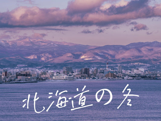 銀色の神経サーファーへ：北海道の冬で旅する脳と心の休日
