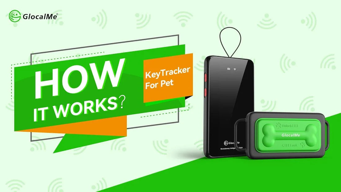 動画を読み込む: 